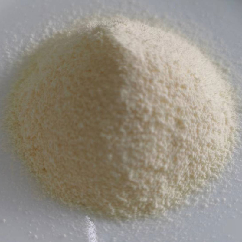 Piccolo conoscenza della crema non casearia